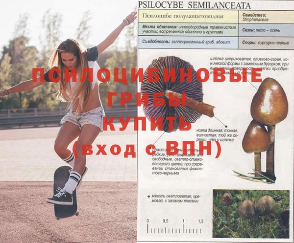 МДМА Богданович