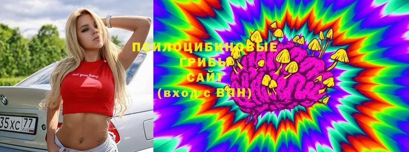 omg ссылка  Мурино  Галлюциногенные грибы ЛСД 